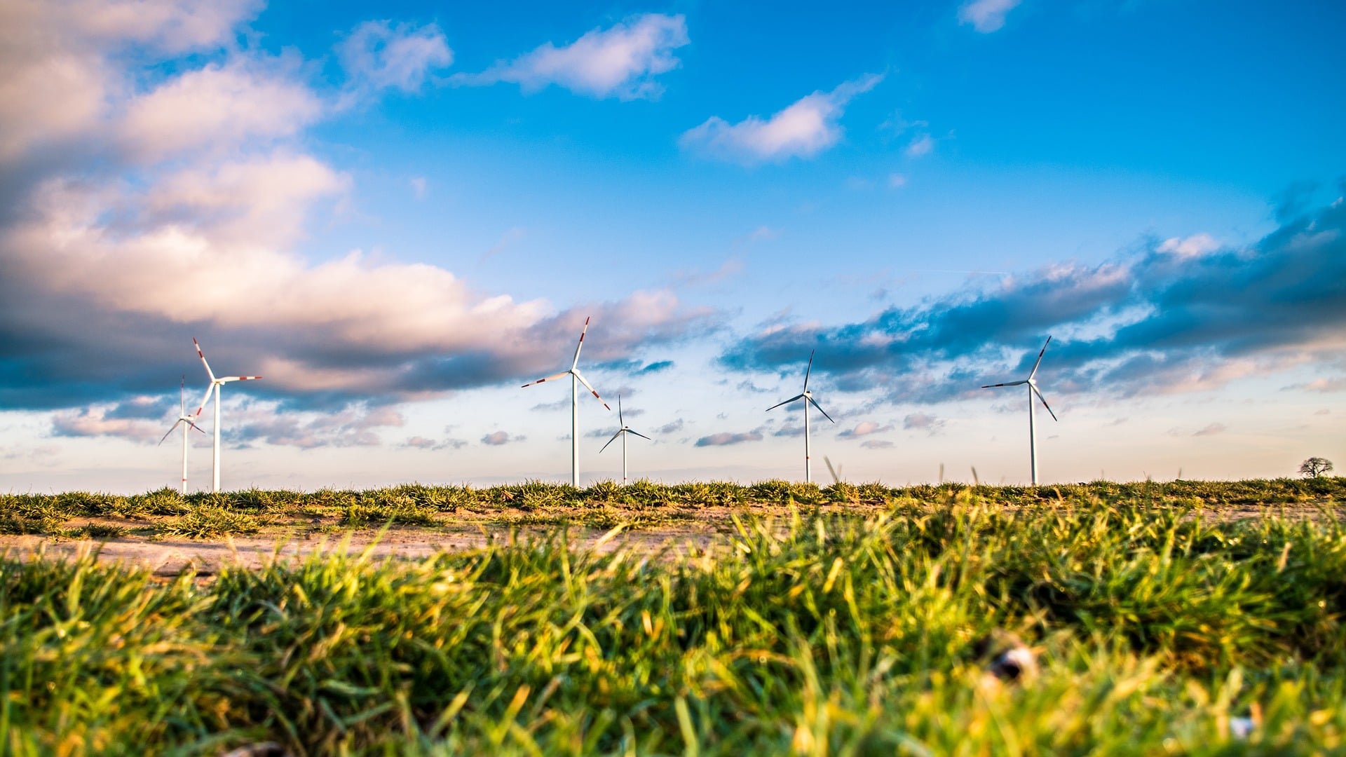 Procurement Must Favour Lowest Carbon not Lowest Cost