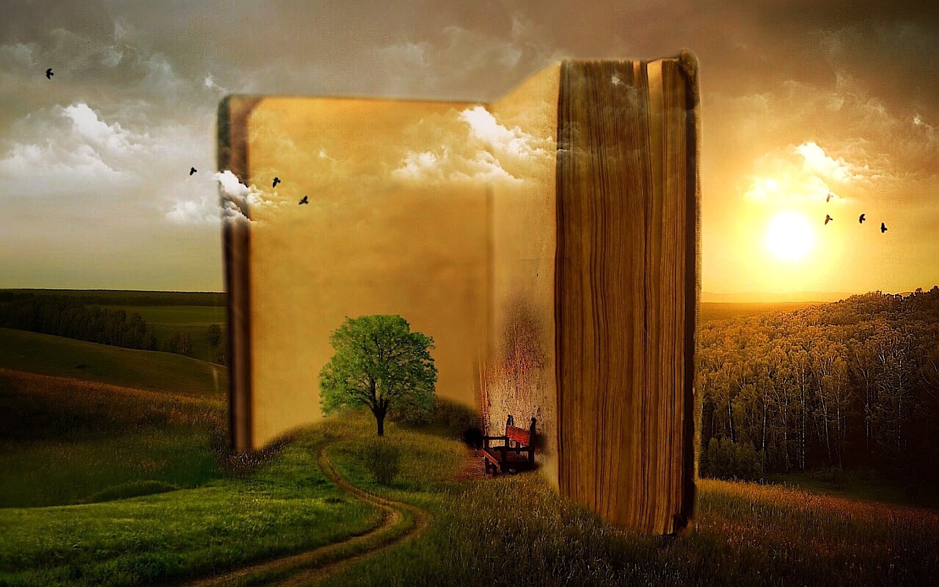 Romanian Government To Publish “Book of Achievements”