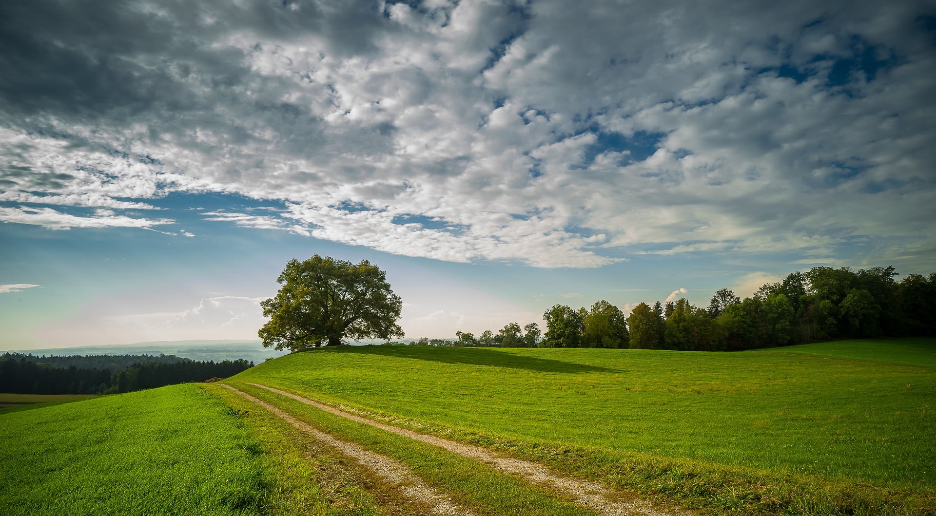 Green Public Procurement Training Programme in 11 European Countries
