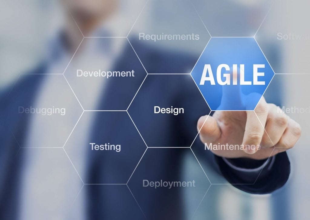 Agile Development Companies Serving the Government