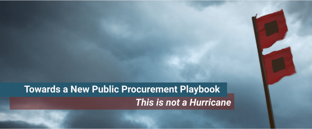 Towards a New Public Procurement Playbook