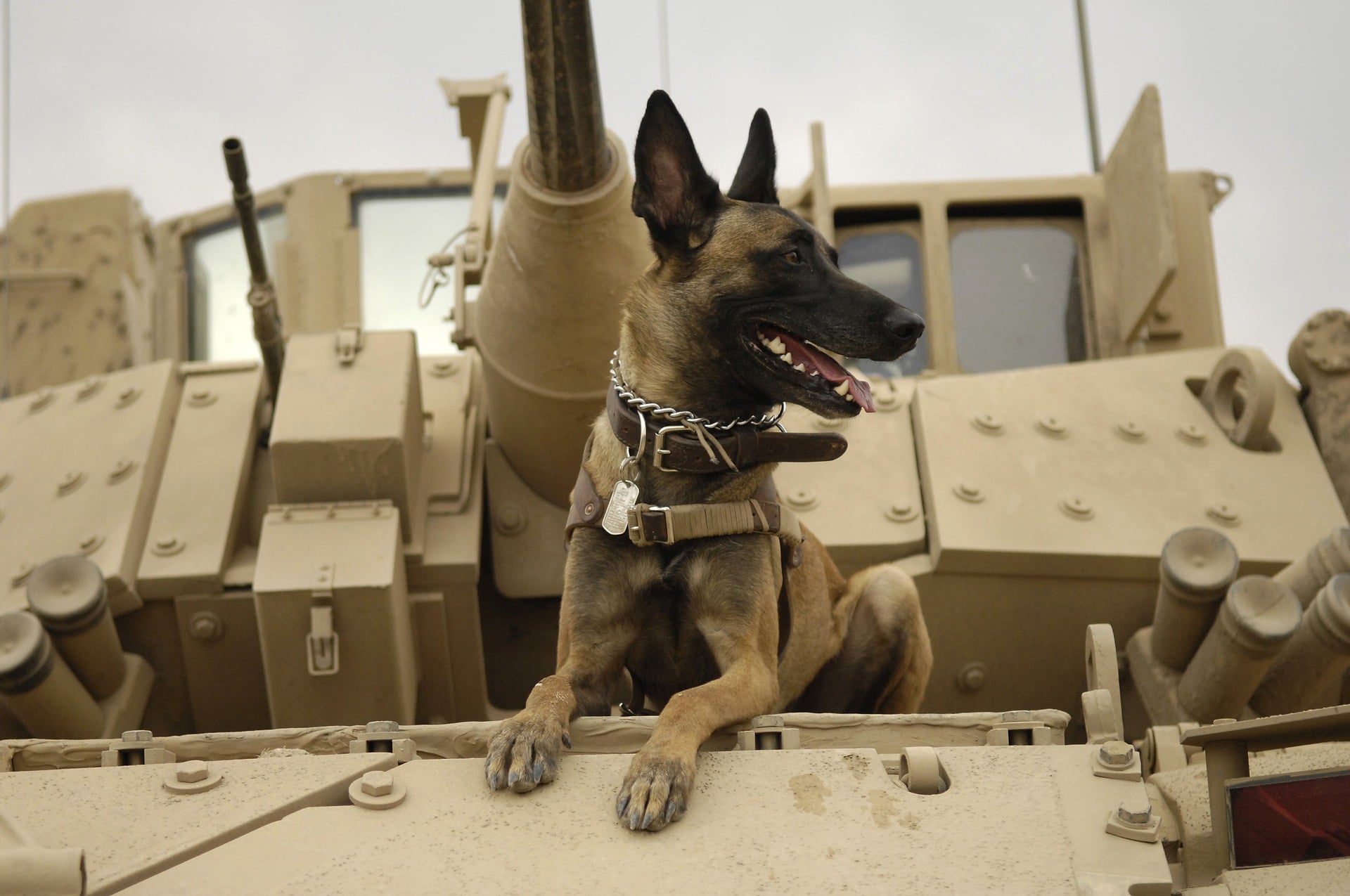 Latvian Defence Ministry Acquiring Armoured Vehicles