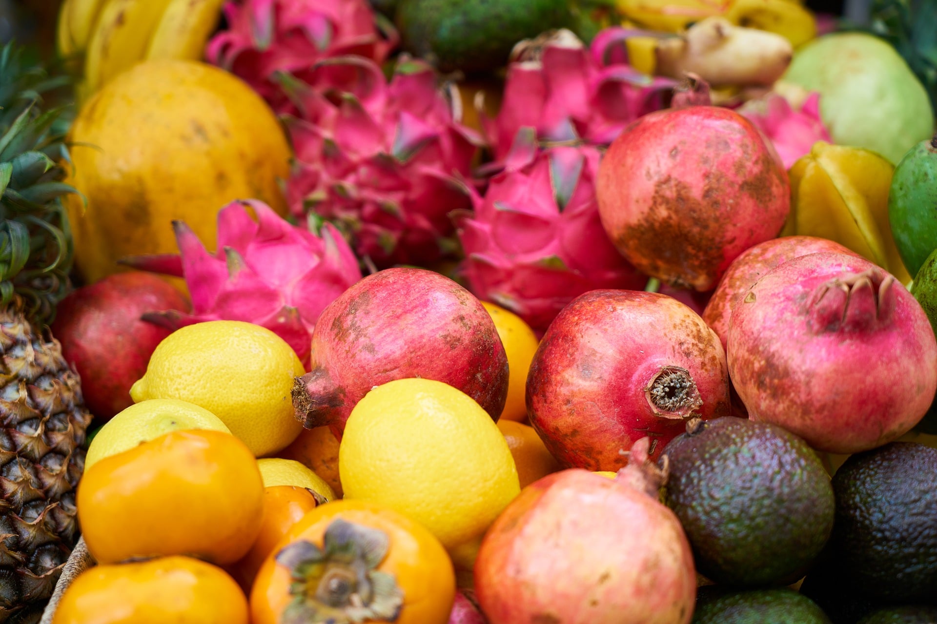 Fairer Trading for Food and Farming