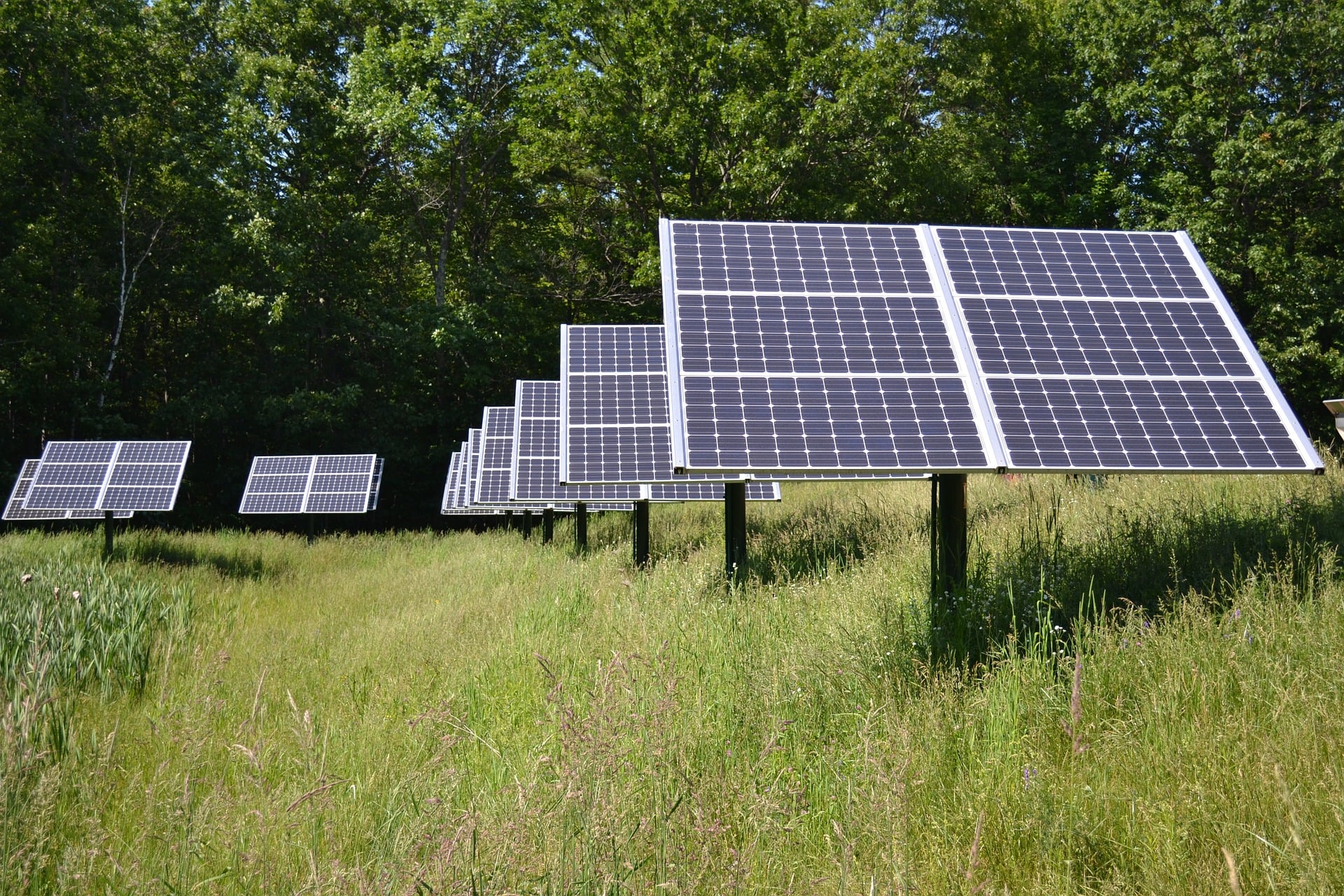 Renewable energy to expand by 50% in next five years